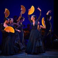 Ballet Flamenco de Andalucía - 25 Aniversario