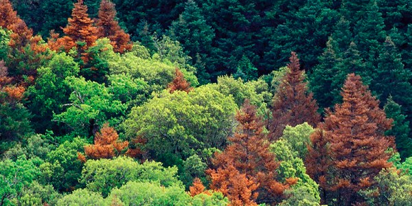 El cambio climático en Andalucía