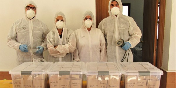 El Ayuntamiento envía al laboratorio 202 nuevas muestras óseas extraídas en la Fosa de Pico Reja para su identificación genética
