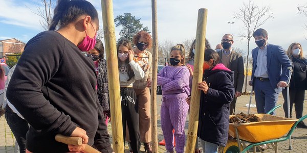 El Ayuntamiento destina otros 100.000 euros para una nueva plantación de árboles de sombra en una treintena de colegios con al menos 342 ejemplares