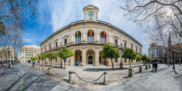 El Ayuntamiento notifica a la iglesia de San Jacinto la suspensión cautelar de la licencia de apeo del ficus que hoy ha emitido un juzgado