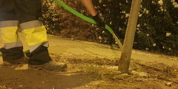 El Ayuntamiento de Sevilla adjudica el contrato para el refuerzo del riego con agua no potable de los nuevos árboles plantados y para hacer frente a las consecuencias de la sequía
