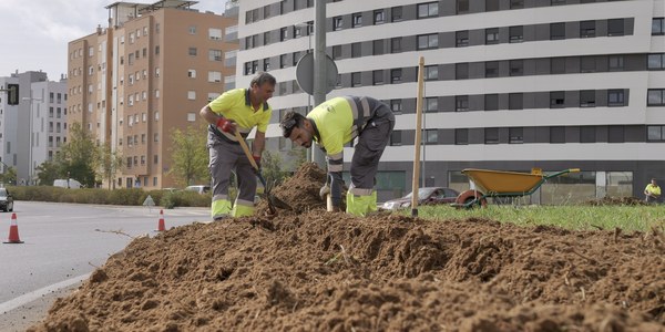 El Ayuntamiento inicia las obras para mejorar la dotación de sombra en cinco plazas de Sevilla Este y renovar el mobiliario urbano