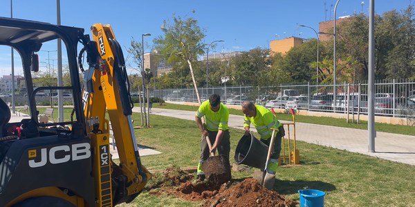 El Ayuntamiento incorpora 113 árboles en el Parque Cruz del Campo para reforzar la sombra y el arbolado