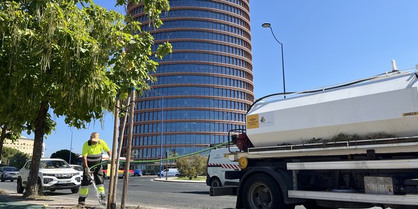 El Ayuntamiento mantiene un plan específico de riego para proteger el nuevo arbolado del distrito Triana durante el verano
