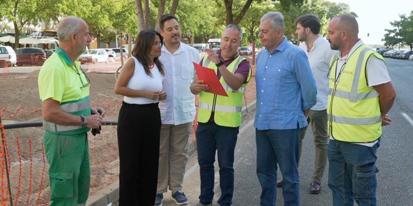 El Gobierno de Sanz avanza en la restauración paisajística del bulevar de la avenida Emilio Lemos, con una inversión total de más de 400 000 euros