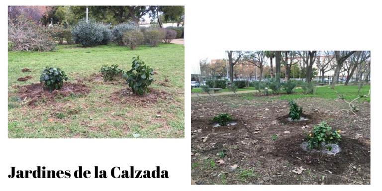Jardines de la Calzada.png