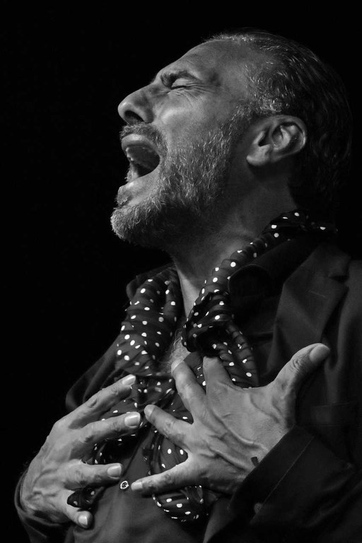 PEDRO EL GRANAINO-Jesús Amat.jpg