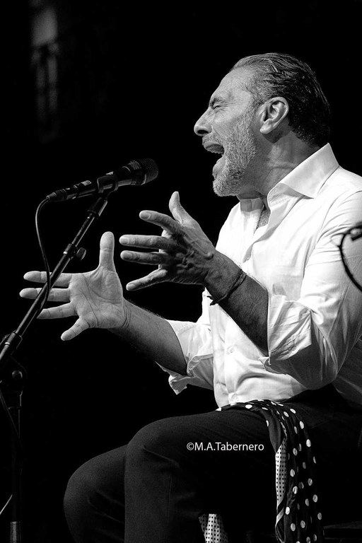 PEDRO EL GRANAINO-M.A. Tabernero.jpg