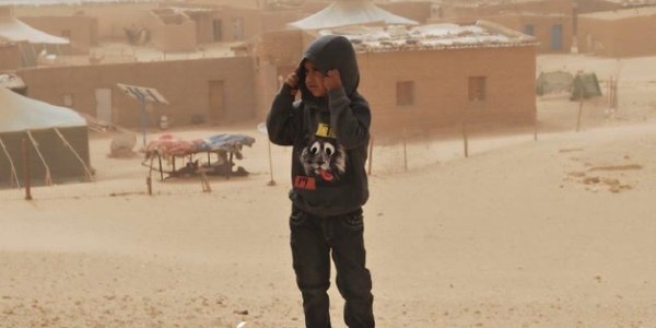 Sahara Occidental "50 Años de ocupación"