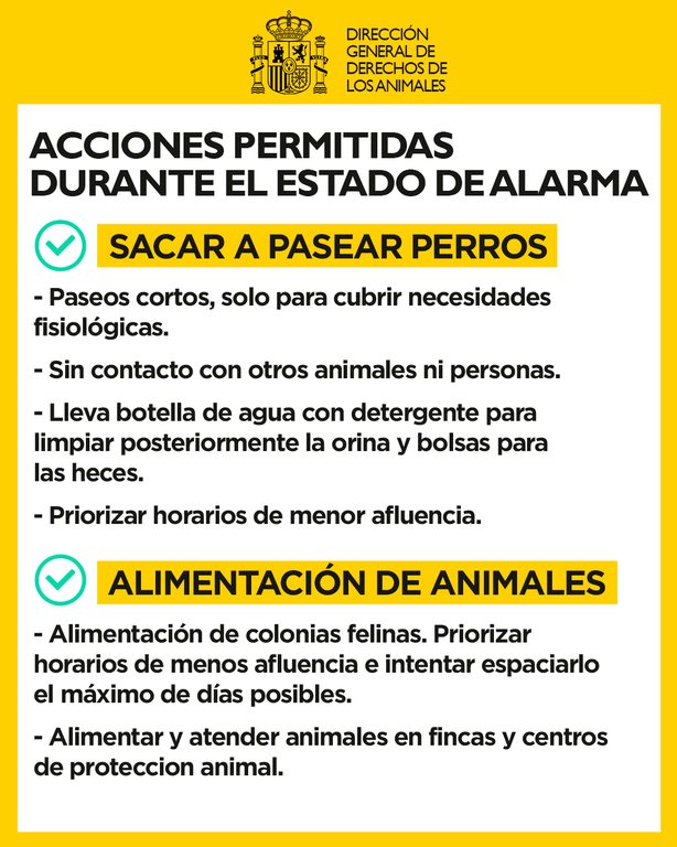 Coronavirus y animales de compañía 2.png