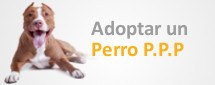 ADOPTAR UN PERRO PPP.jpg