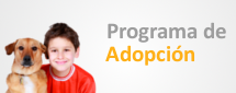 Programa de Adopcion