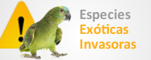 Especies Exóticas Invasoras