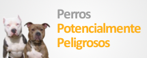 Perros Potencialmente Peligrosos