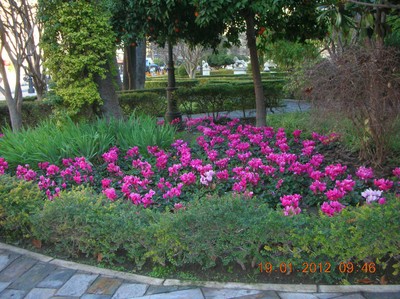 Servicio de Parques y Jardines