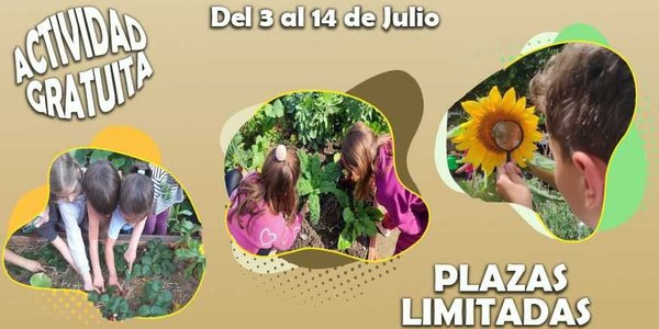 Campamento de Verano 2023 - Huertos Urbanos de Sevilla