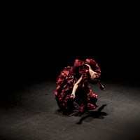 Ana Morales - Teatro Central
