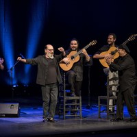 EL PELE - Teatro Lope de Vega