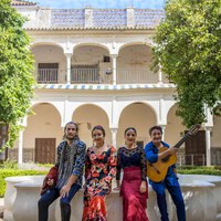 Maridaje Vino y Flamenco - Barbadillo